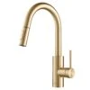 Oletto Single-Handle Pull-Down Sprayer Kitchen Faucet In Gold 2 Oletto Single-Handle Pull-Down Sprayer Kitchen Faucet In Gold -Master Locks Shop 026d212ac9d4c26681427e51d5ad563d 1800x1800