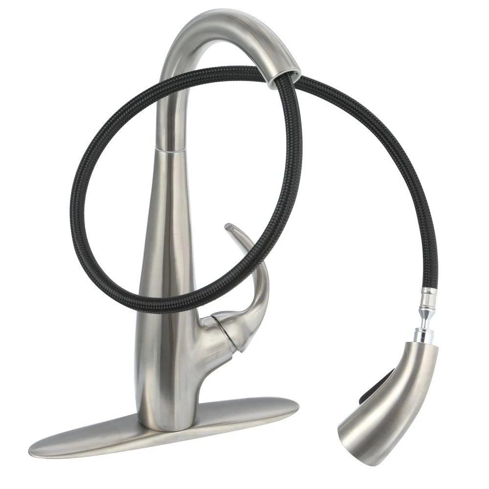 Avanti Single-Handle Pull-Down Sprayer Kitchen Faucet In Stainless Steel 4 Avanti Single-Handle Pull-Down Sprayer Kitchen Faucet In Stainless Steel - Image 2