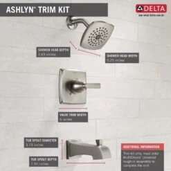 Delta Ashlyn Stainless 1-Handle Bathtub And Shower Faucet