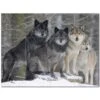 Wolf Wolves Ceramic Tile Mural Kitchen Backsplash Bathroom Shower 403125-S43 -Master Locks Shop 0be6a1be 873e 4407 823b c1abf3473d97 1.0cec6fc6d28dfd64fba5e0499f4909d8 1800x1800