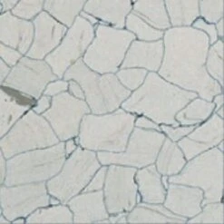 Flexco Conductive Tile Gray/Dark Gray 24-in X 24-in Vinyl Tile Flooring (4-sq Ft)