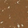 Flexco Dissipative Tile Gingerbread 24-in X 24-in Vinyl Tile Flooring (4-sq Ft) -Master Locks Shop 14461960 1800x1800
