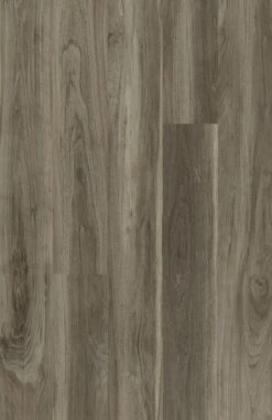 Shaw Westwork Alachua 6-in Wide X 2-1/2-mm Thick Waterproof Luxury Vinyl Plank Flooring (41.72-sq Ft) -Master Locks Shop 14847755 cfe2c561 5f21 4b09 b193 447e8116e81c 1800x1800