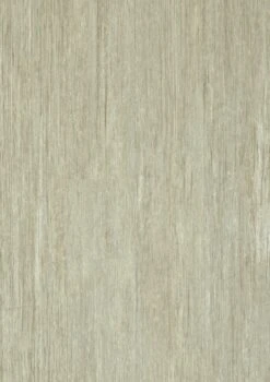 Shaw Westwork Alachua 6-in Wide X 2-1/2-mm Thick Waterproof Luxury Vinyl Plank Flooring (41.72-sq Ft) -Master Locks Shop 14848069 26573a8d dd4a 4ace afe6 c899017972bc 1800x1800