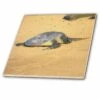 3dRose Sea Turtle On Na Pali Coast Hawaii - Ceramic Tile, 4-inch -Master Locks Shop 186b71e5 c996 454f 92e9 77e55fcd8982 1.7b7ceee35fd34ffa7ba8d189c5082d63 1800x1800