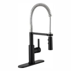 Statham Single-Handle Coil Spring Neck Kitchen Faucet With TurboSpray And FastMount In Stainless Steel 19 Statham Single-Handle Coil Spring Neck Kitchen Faucet With TurboSpray And FastMount In Stainless Steel -Master Locks Shop 1b2a0a0725ea764370afcc5095575b43 1800x1800