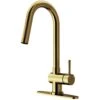 Gramercy Single-Handle Pull-Down Sprayer Kitchen Faucet With Deck Plate In Matte Gold -Master Locks Shop 359f91e3682ad8c3fb88d4f724608ca7 1800x1800