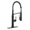 Linscott Single-Handle Coil Springneck Pull-Down Sprayer Kitchen Faucet In Matte Black 1 Linscott Single-Handle Coil Springneck Pull-Down Sprayer Kitchen Faucet In Matte Black -Master Locks Shop 472cea21936dfa3b731114d0a38b38a6 1800x1800