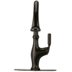 Worth Single-Handle Pull-Down Sprayer Kitchen Faucet In Oil Rubbed Bronze 15 Worth Single-Handle Pull-Down Sprayer Kitchen Faucet In Oil Rubbed Bronze -Master Locks Shop 4dac4741305d0b505fe71af7c0b56dd1 1800x1800