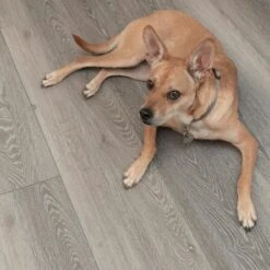 CALI Long-Board Vinyl Pro 6-Piece 9-in X 70.87-in Oceanic Oak Luxury Vinyl Plank Flooring 21 CALI Long-Board Vinyl Pro 6-Piece 9-in X 70.87-in Oceanic Oak Luxury Vinyl Plank Flooring -Master Locks Shop 810124039608 12334691 1800x1800