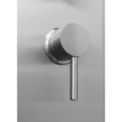 AKDY 58-in Stainless Steel 2-Spray Shower Panel System (Valve Included) -Master Locks Shop 810764023746 10486352 1800x1800