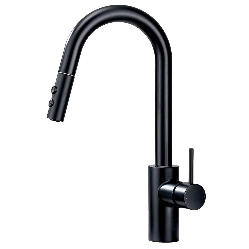 Single-Handle Pull-Down Sprayer Kitchen Faucet With 2-Function Sprayhead In Matte Black 3 Single-Handle Pull-Down Sprayer Kitchen Faucet With 2-Function Sprayhead In Matte Black