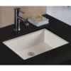 Wells 20 In. X 16 In. X 6 In. Rectangular Vitreous Ceramic Lavatory Single Bowl Undermount In Bisque -Master Locks Shop edffde41ee54586a5c6ebe12fd538693 1800x1800