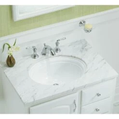 KOHLER Devonshire 18-1/8 In. Vitreous China Undermount Bathroom Sink In White With Overflow Drain -Master Locks Shop ef443cce7fbcdf98964d506b54a4d58f 1800x1800